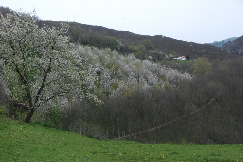 DSC_0055